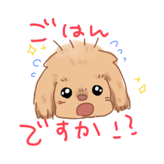 Little fluffy dog speaking Japanese