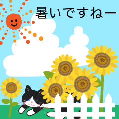夏の花いっぱいと猫　夏の挨拶と日常