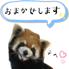市川市動植物園スタンプ 第2弾 敬語特集