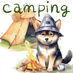 柴犬のキャンプライフ