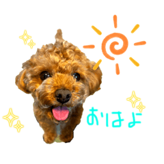 shin_20230606125923
