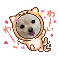 Sunny_20230606180220