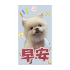 美金對泥説！