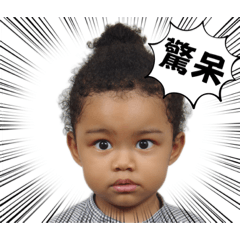 樂樂的日常。常用語