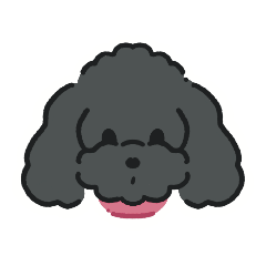 Poodle named Rin-chan