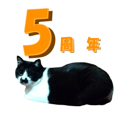 Kisarazu Cat CHOBISUKE _05