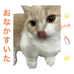 omochi_20230606213006