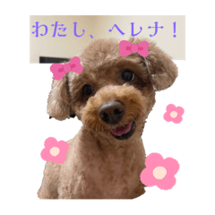 aoi_20230606232633