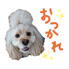 megumi_20230607103449