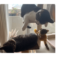 NATSUMI_20230607125151