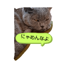 sakura_20230607121156