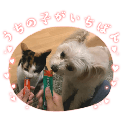 POALO_20230607142432