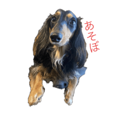 Kuu_20230607152937