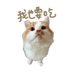 三隻公主