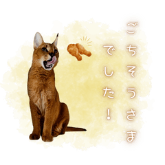 かわいい猫さんスタンプ2