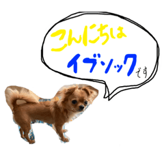 Konatsu_20230607171957