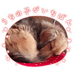 Titania_20230607175048