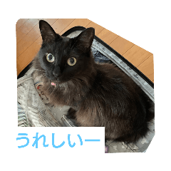 nao_20230608094617