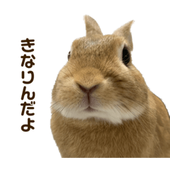 kinaco_20230607200610