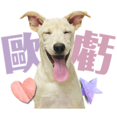 Rascal Dogs Jioujiou Part1