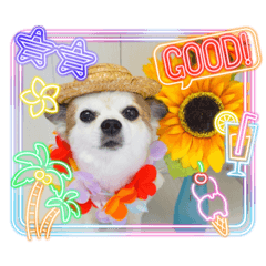 yuka_20230607231119