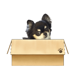 kuu_20230608100258