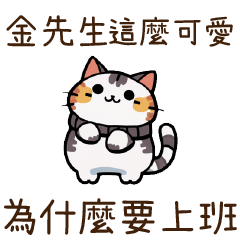 貓貓圖鑑2金先生
