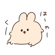 pocchan_20230608122032