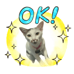 Nanthaphat_20230608121349