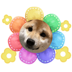 茶色い犬ブサカワ猫