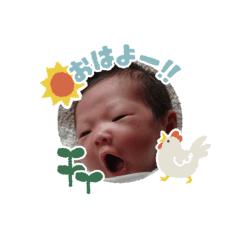 ko--ta