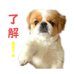 Numa_20230608143220