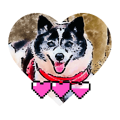 ike416_20230608154617