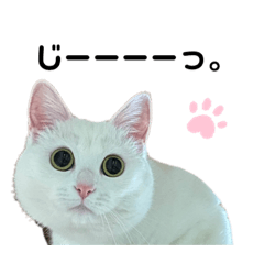 omochi_20230609