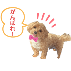 SUZU_20230608181526