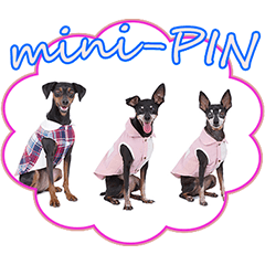 mini-PIN Sticker 2023