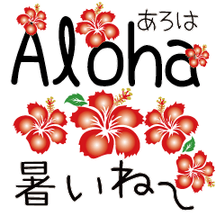 ＜夏＞アロハ ハイビスカス Aloha Hibiscus