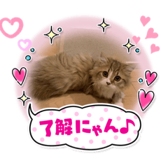 MIYUU_20230608200419