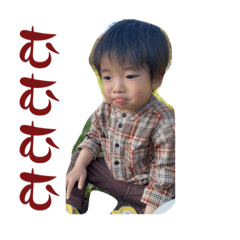 Koto_20230608200847
