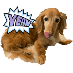 nozomi_20230609012948