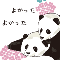 panda with azisai