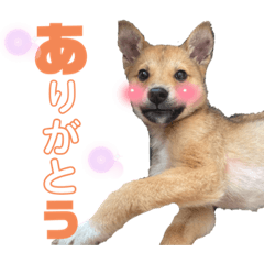 Sakurako_20230608211643