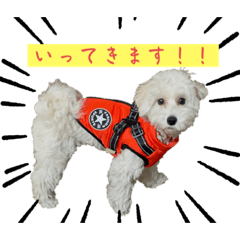 Misa_20230609131706