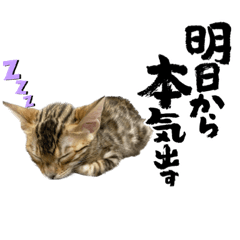 shin_20230609151326