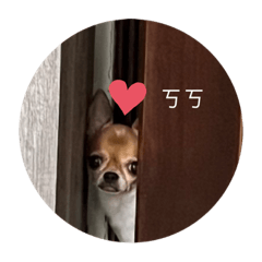 張家毛小孩