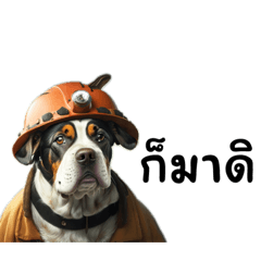 Dog so cute EP1