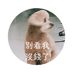 沒錯 是狗