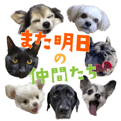 また明日の仲間たち vol.1