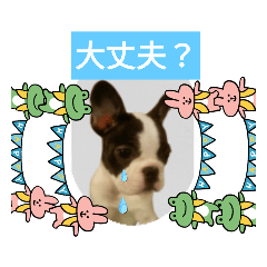 kuu_20230609180752
