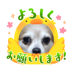 nao_20230609185735